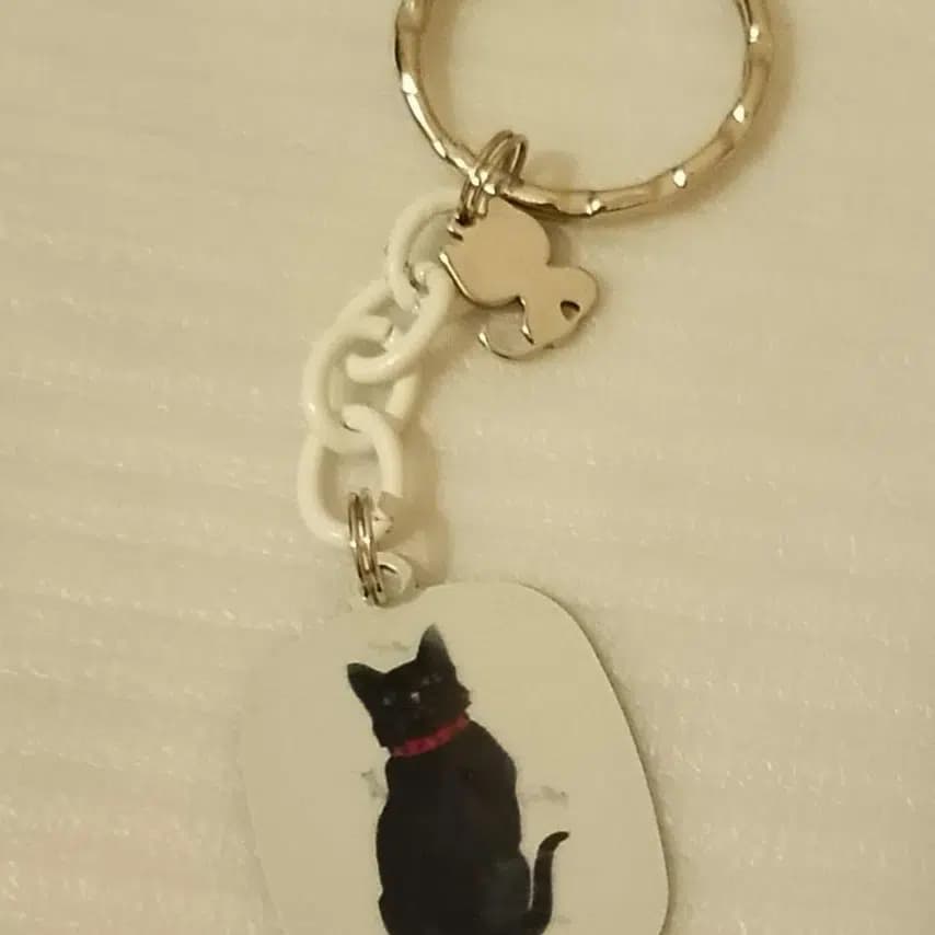 读者投稿的猫咪画作
