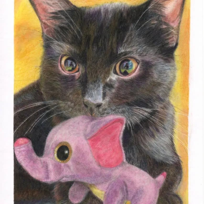 读者投稿的猫咪画作