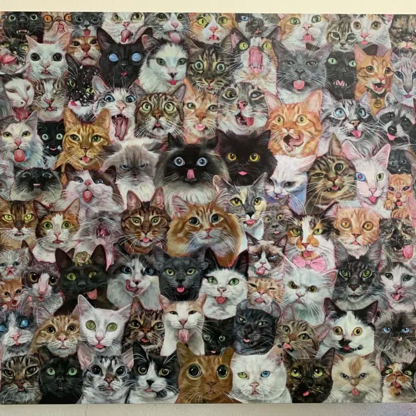 读者投稿的猫咪画作
