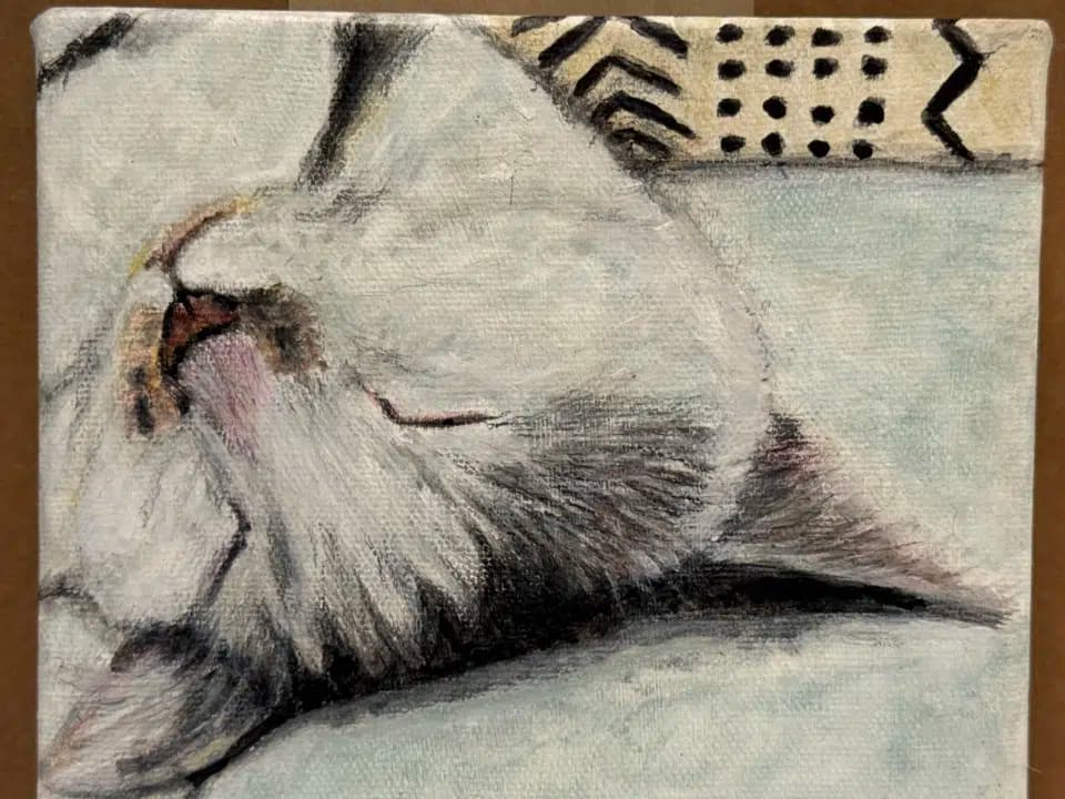 读者投稿的猫咪画作
