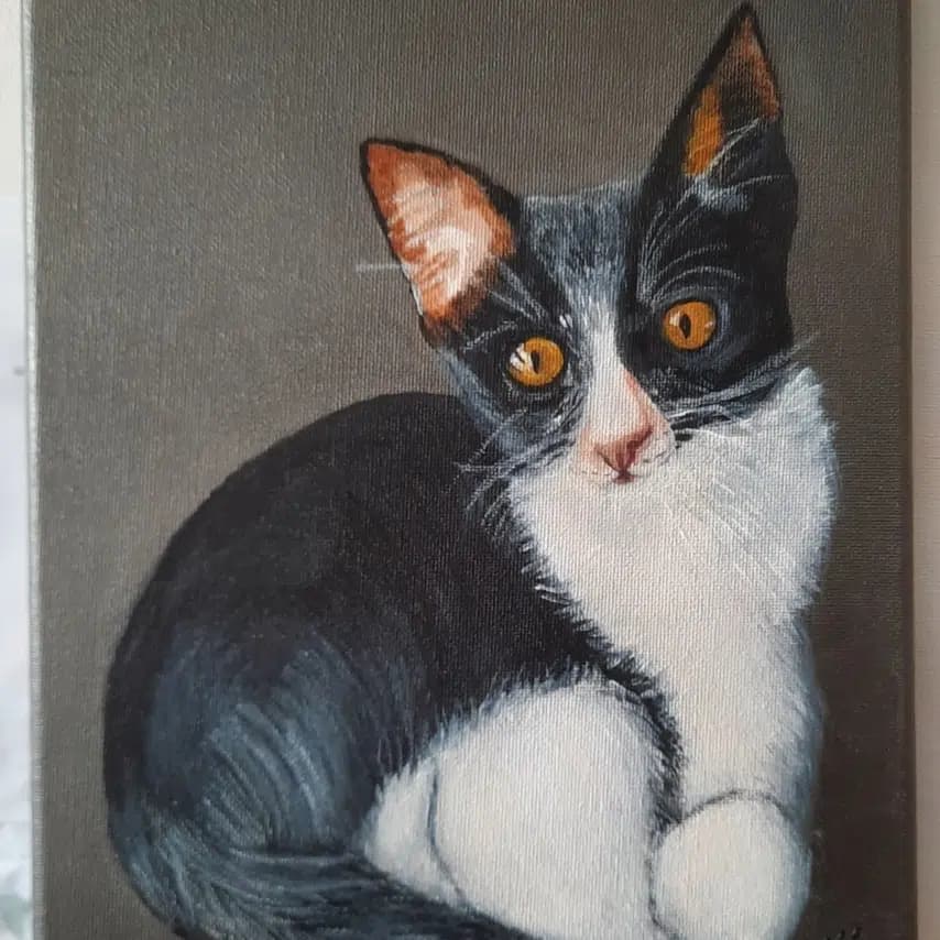 读者投稿的猫咪画作