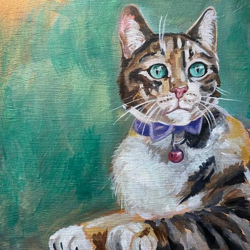 读者投稿的猫咪画作