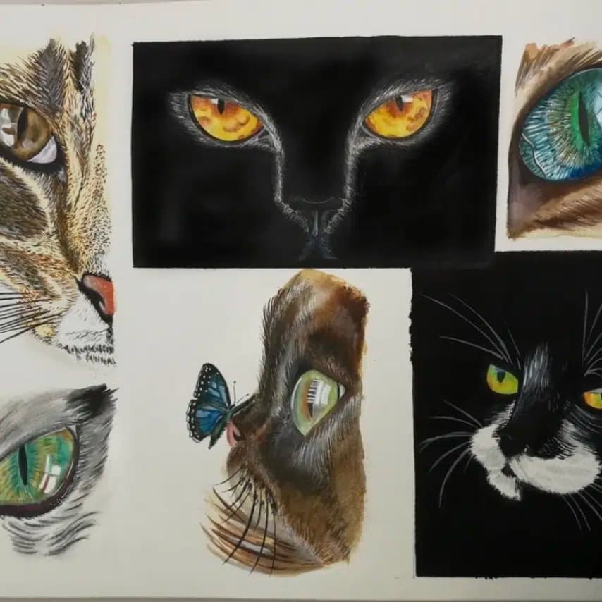 读者投稿的猫咪画作