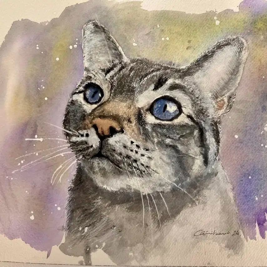 读者投稿的猫咪画作