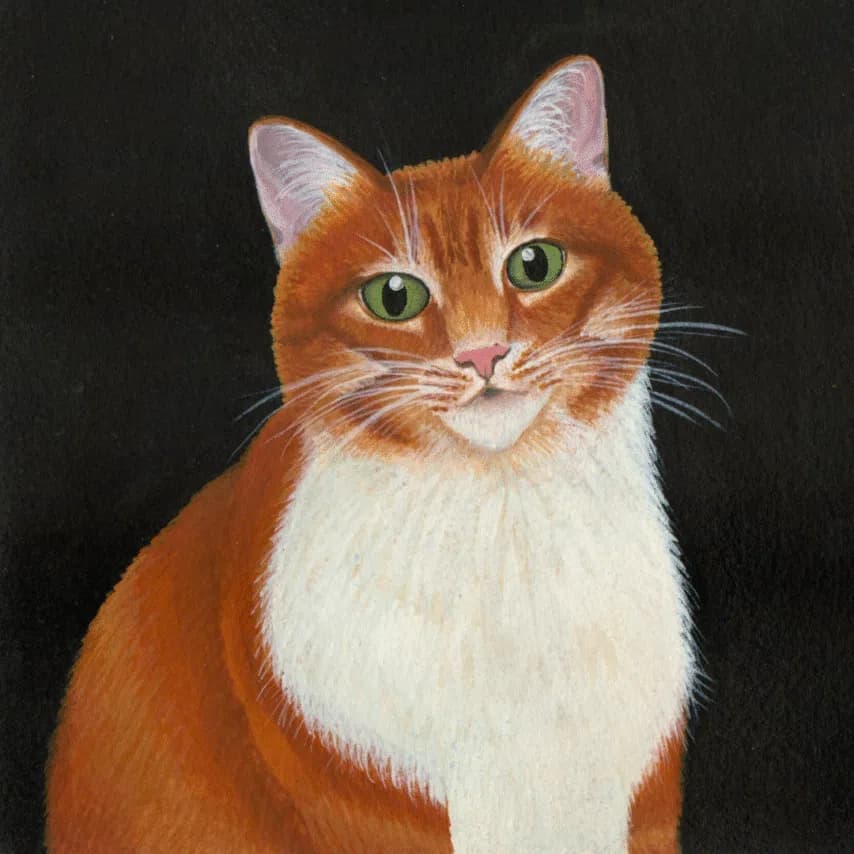 读者投稿的猫咪画作