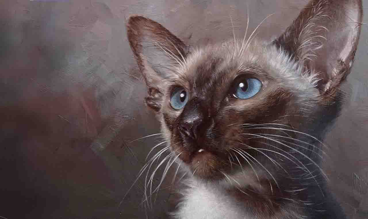 猫咪画作征集那一格的封面：把自家猫画下来投过来