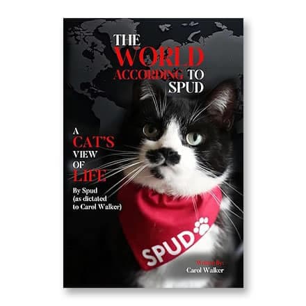 这一条讲的是：The World According to Spud: A Cat's View of Life