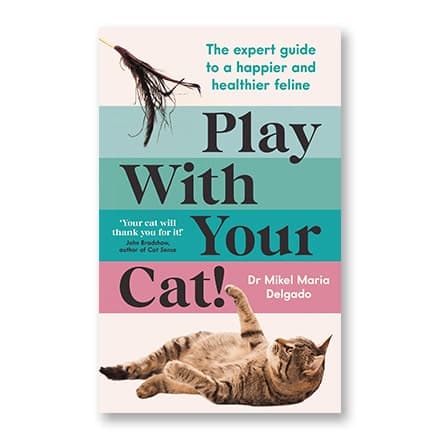 这一条讲的是：Play With Your Cat