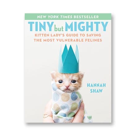 这一条讲的是：Tiny But Mighty