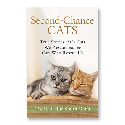 这一条讲的是：Second-Chance Cats: True Stories of the Cats We Rescue and the Cats Who Rescue Us
