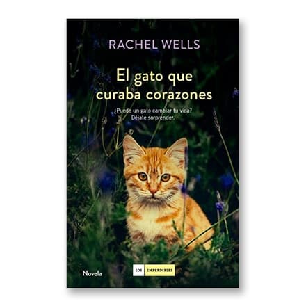 这一条讲的是：El gato que curaba corazones