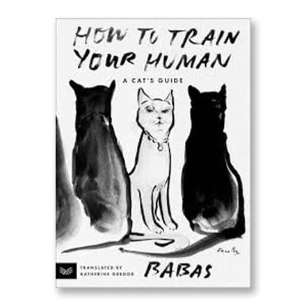 这一条讲的是：How to Train Your Human