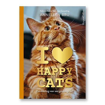 这一条讲的是：I love happy cats