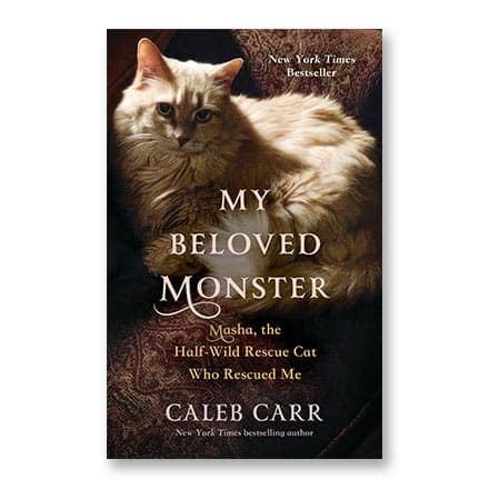 这一条讲的是：My Beloved Monster, Masha the Half-wild cat who rescued me