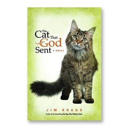 这一条讲的是：The Cat That God Sent