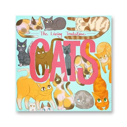 这一条讲的是：Cats