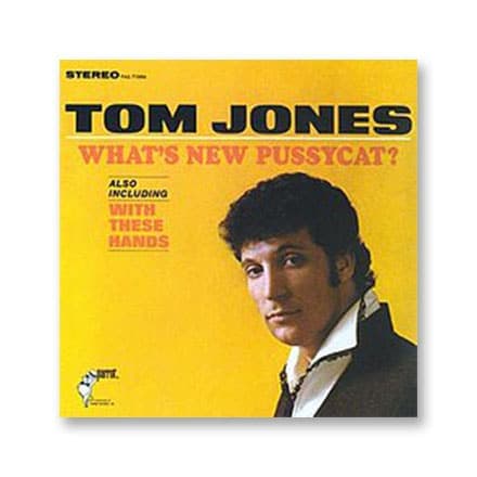 这一条讲的是：What's new pussy cat