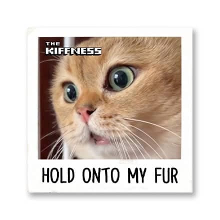 这一条讲的是：Hold onto my fur