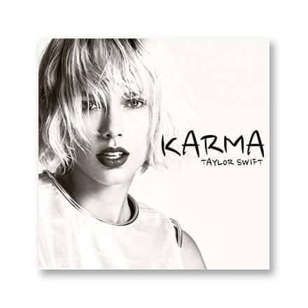 这一条讲的是：Karma