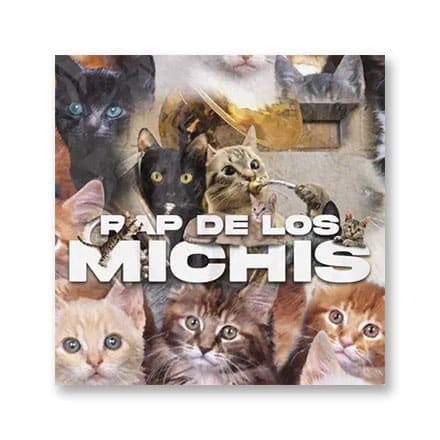 这一条讲的是：Rap de los michis
