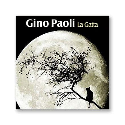 这一条讲的是：La gatta