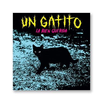这一条讲的是：Un gatito