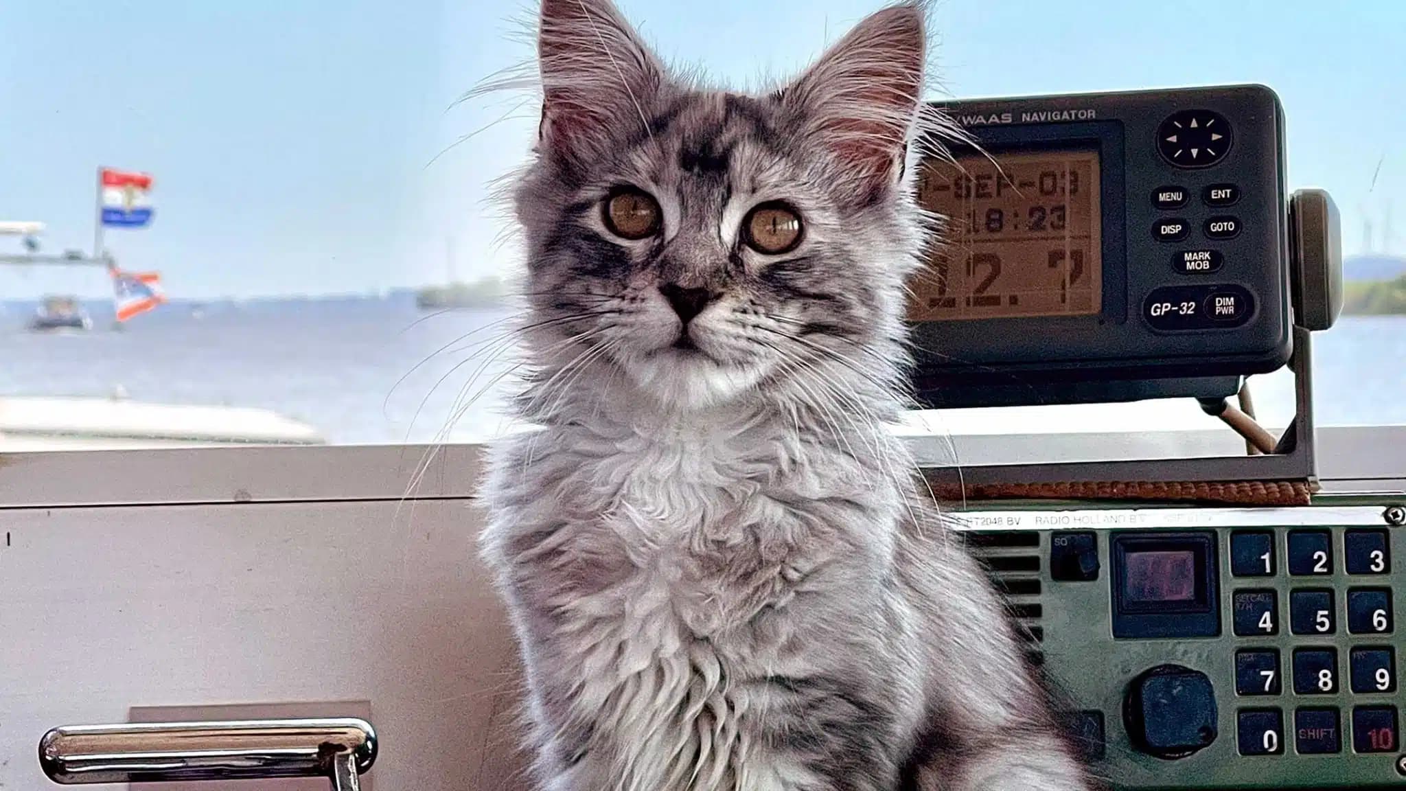 这一篇讲的是：另一条船上那只猫